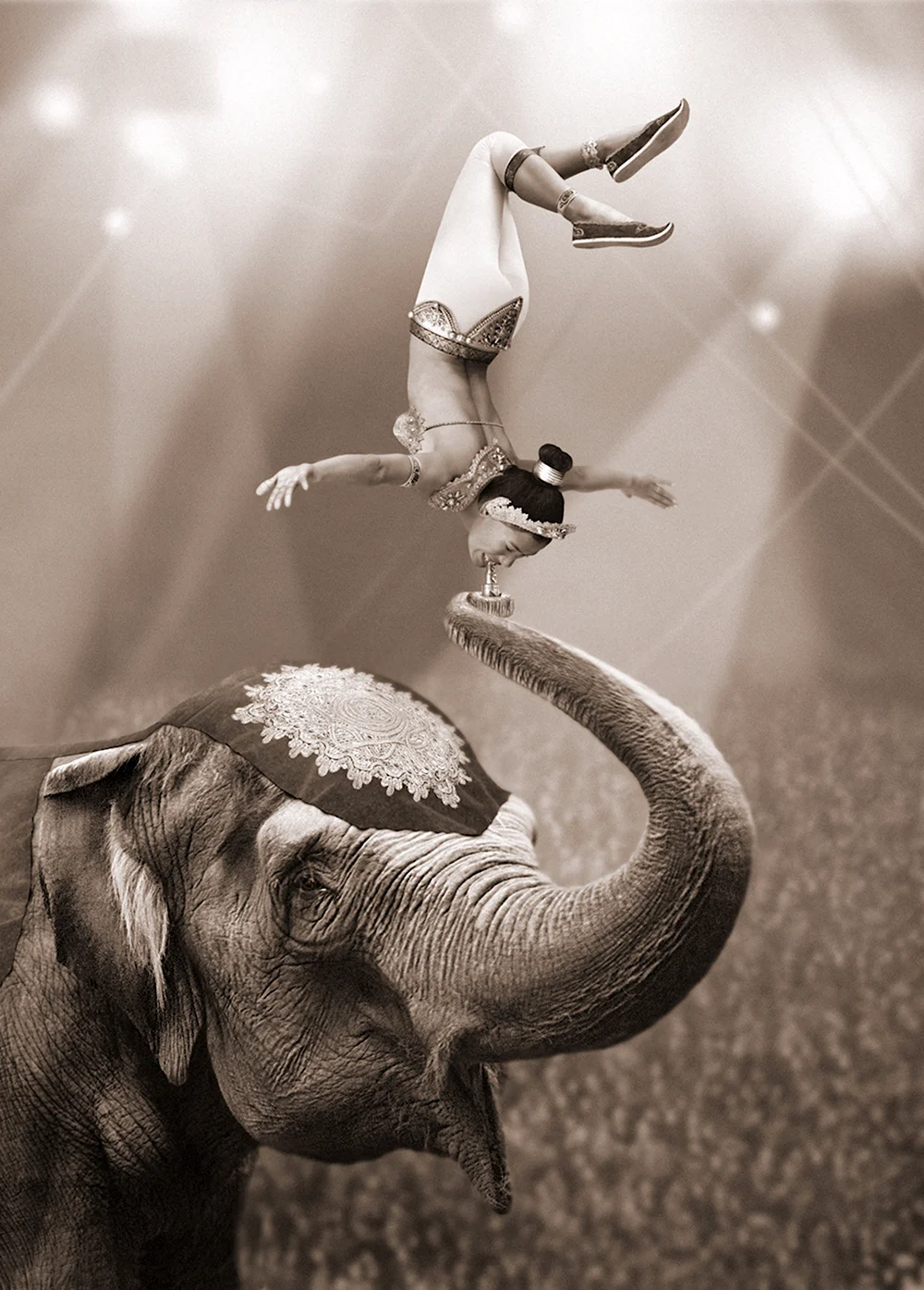 Цирковой слон арт
