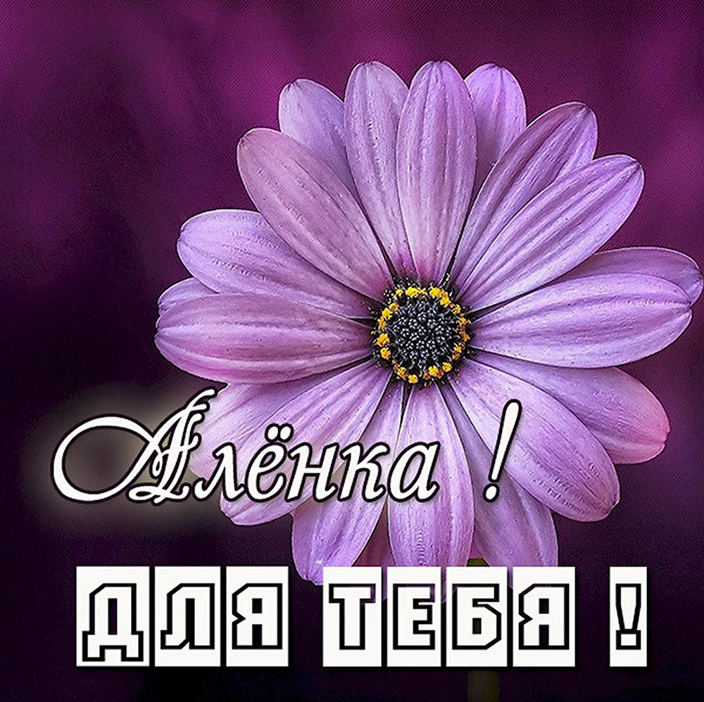 Цветы для Алены