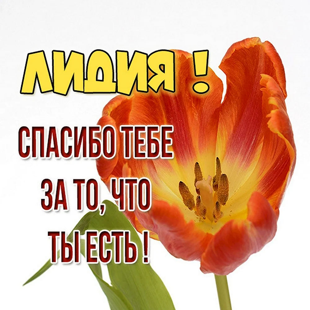 Цветы для Антонины