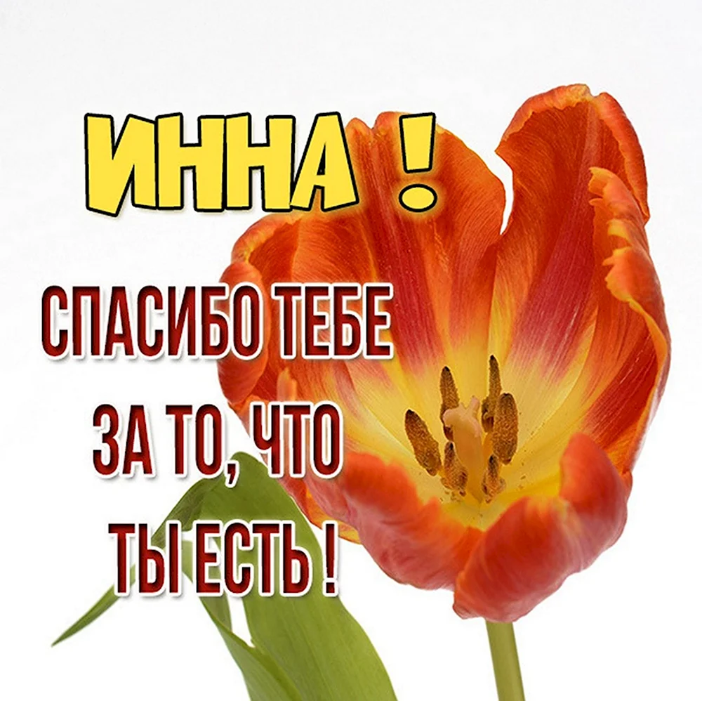 Цветы для Антонины