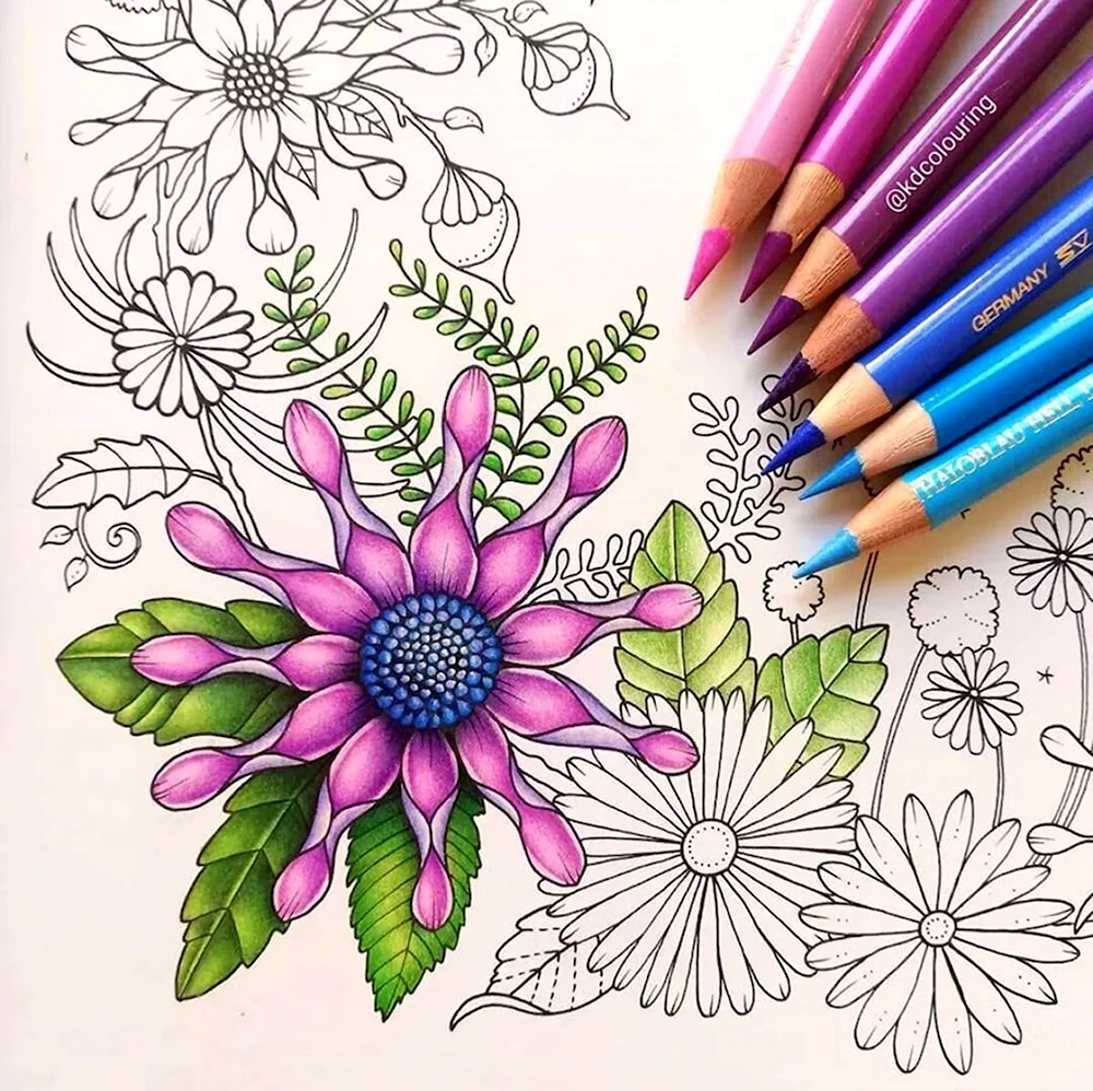Цветы Раскрашенные цветными карандашами