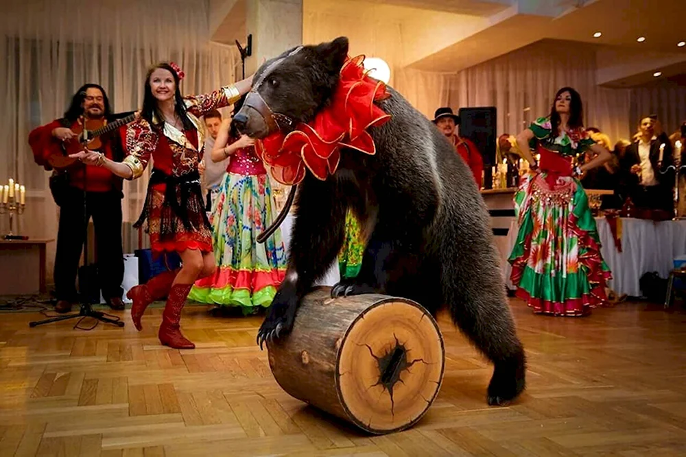 Цыгане с медведем