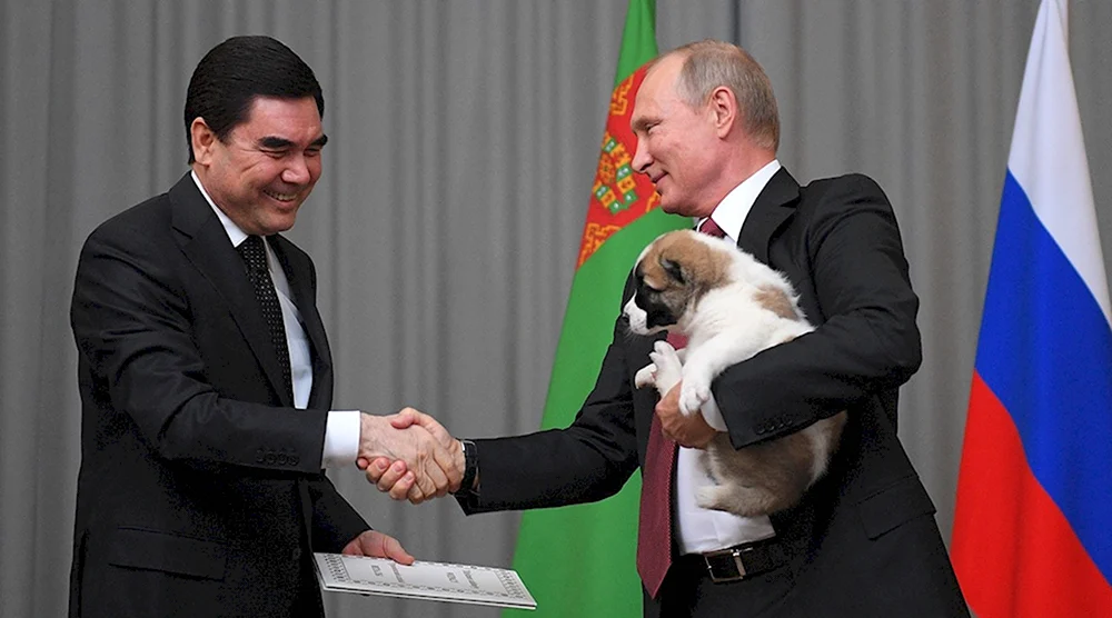Туркменский алабай Путина