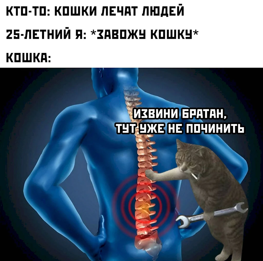 Тут уже не починить кот