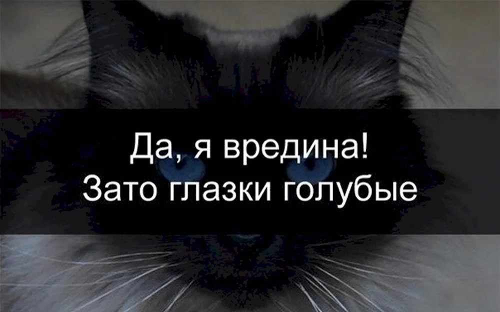 Открытка с именем вредина Я тебя люблю. Открытки на каждый день с именами и пожеланиями.