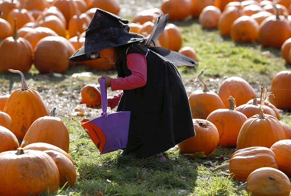 Тыква Halloween 1шт