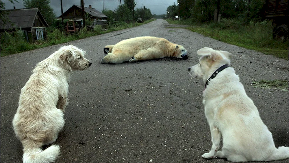 У попа была собака он ее любил