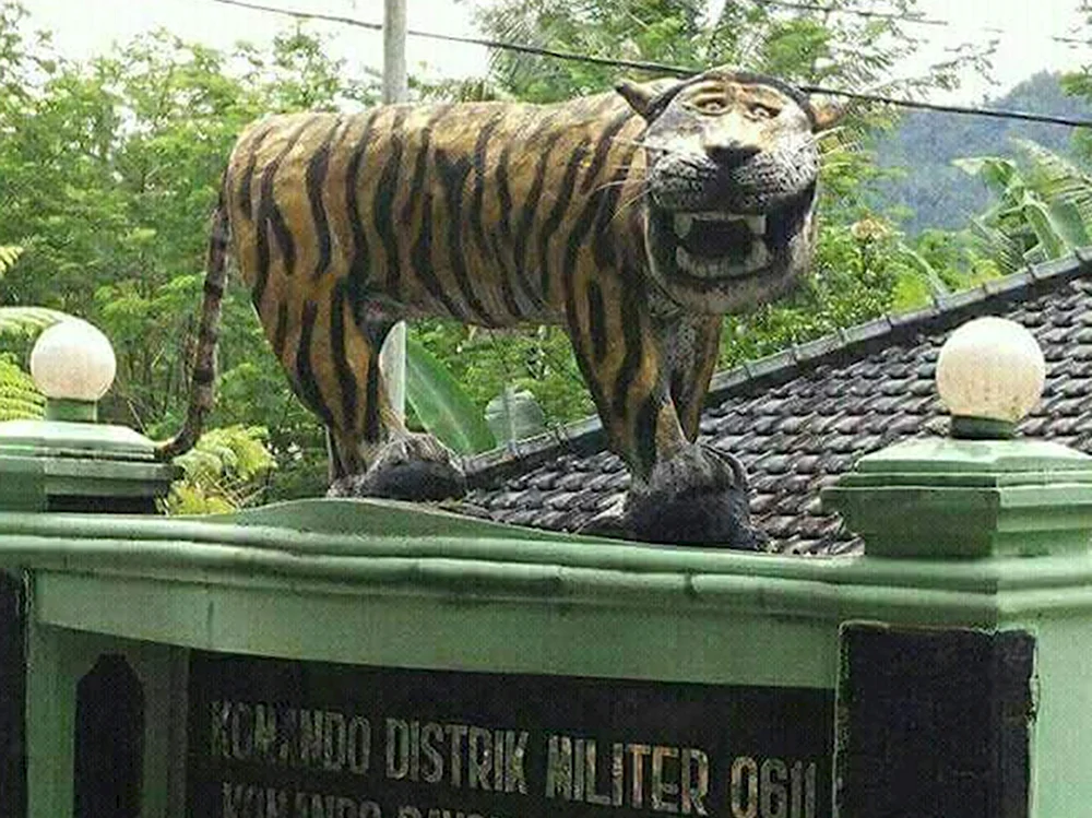 Упоротый тигр