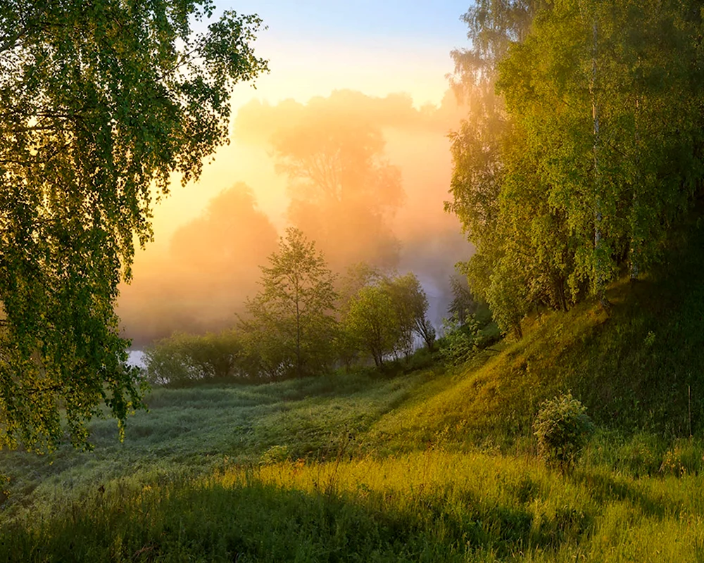 Утренний пейзаж