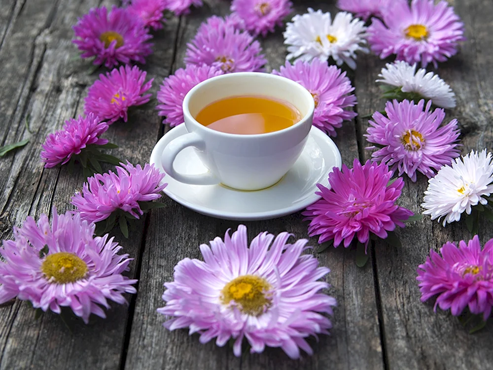 Утро чай цветы