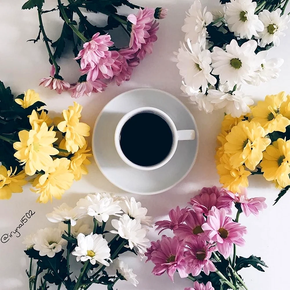 Утро кофе цветы настроение