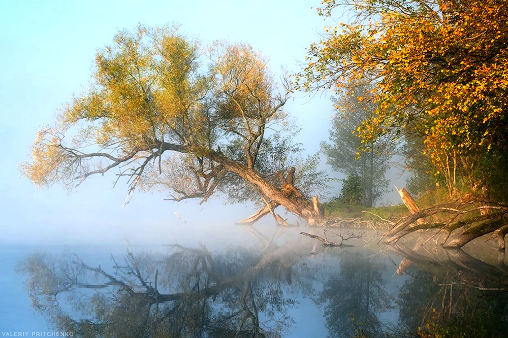 Утро осень