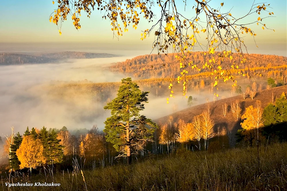 Утро осень