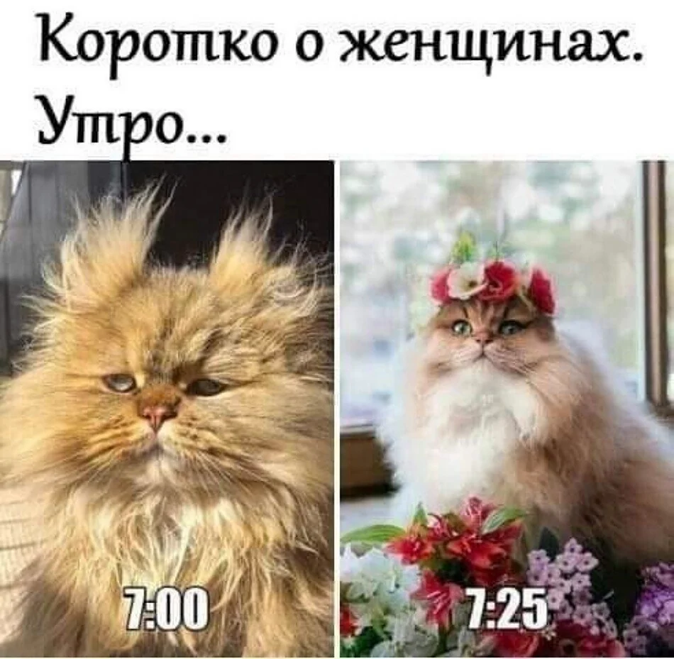 Утро прикол