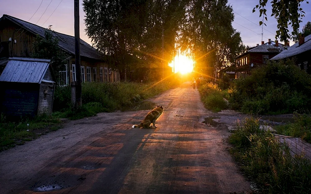 Утро в деревне