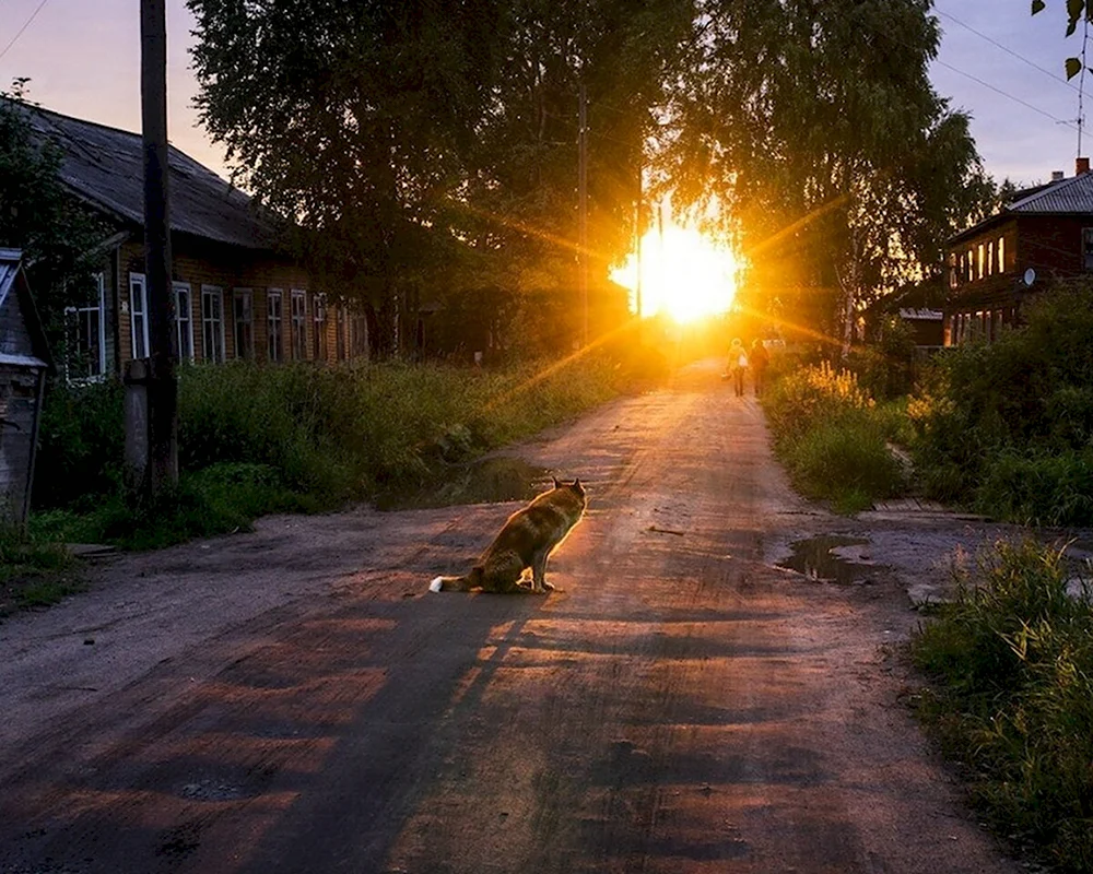 Утро в деревне