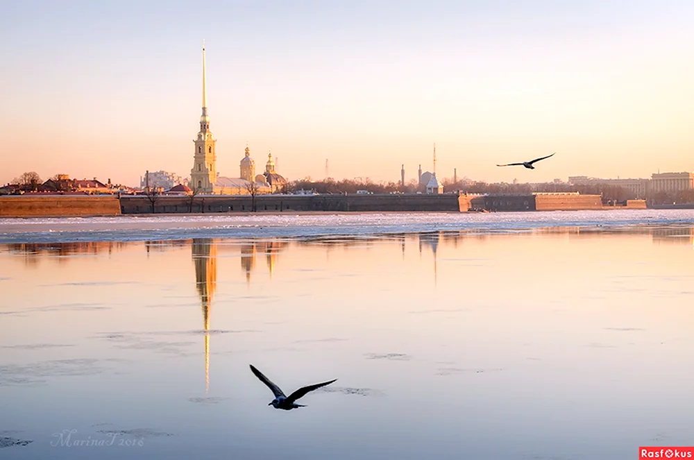 Утро в Питере весной