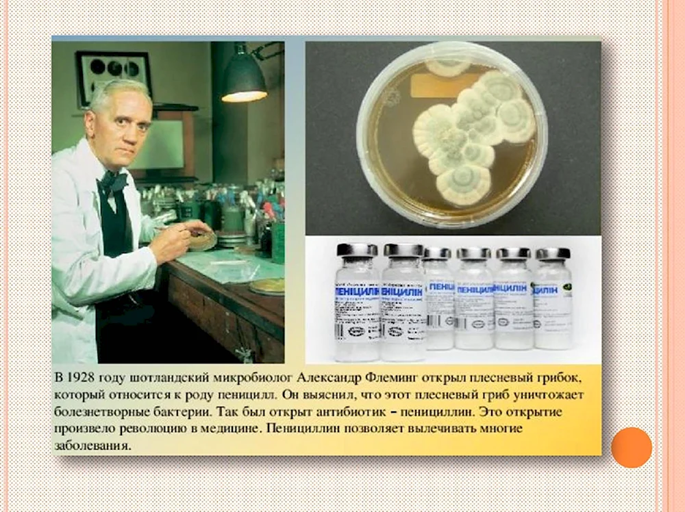 В 1928 Г. Александр Флеминг открыл пенициллин