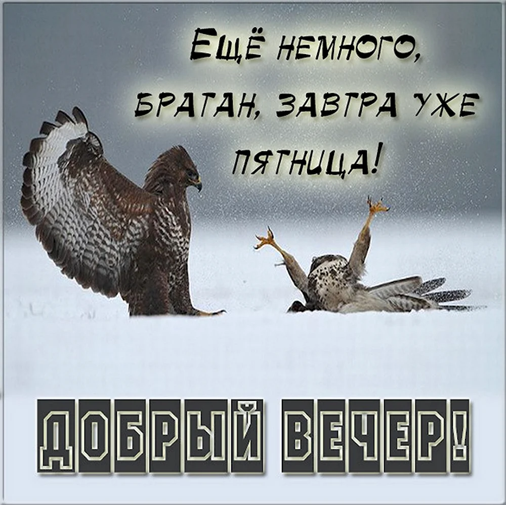 Вечер четверга