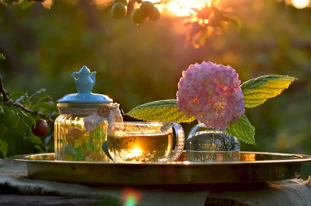 Вечерний чай в саду