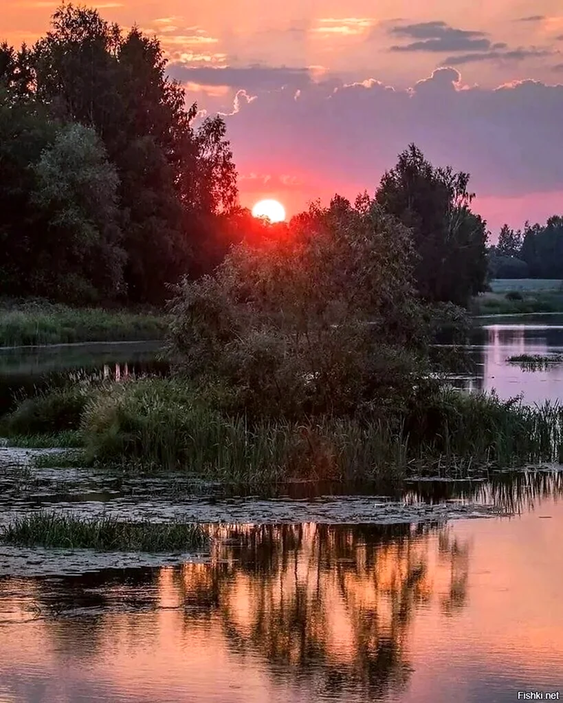 Вечерний пейзаж