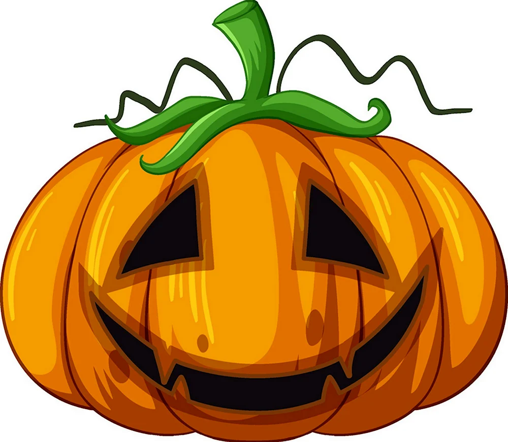 Vector Pumpkin vector illustration Pro vector