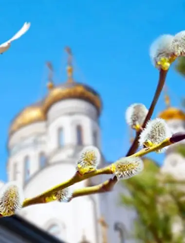 Верба на Вербное воскресенье