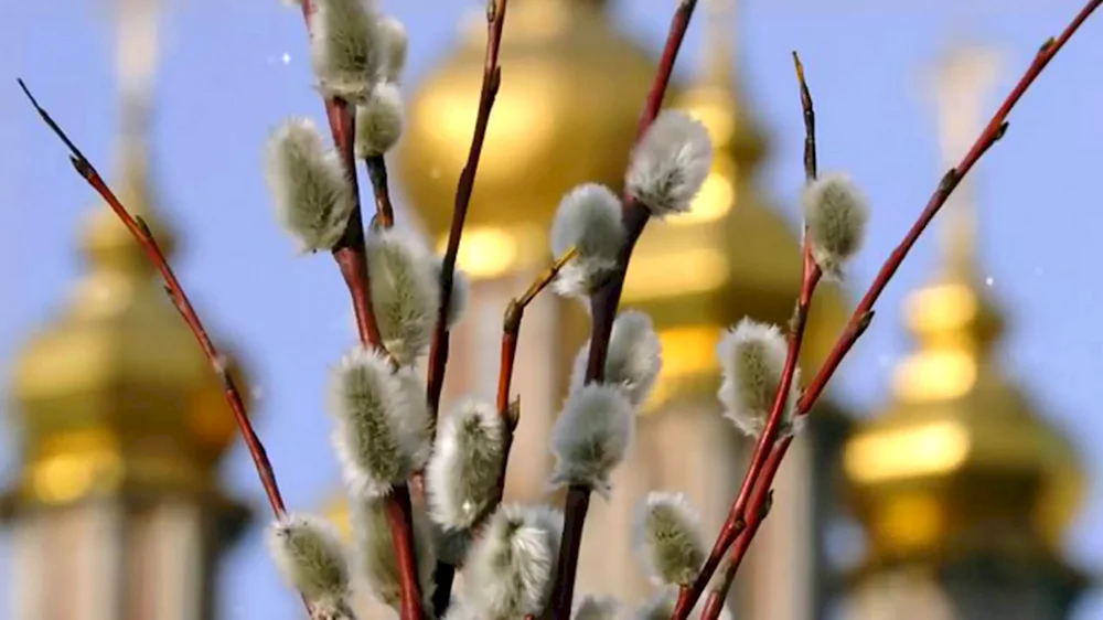 Верба Церковь Вербное Воскресение