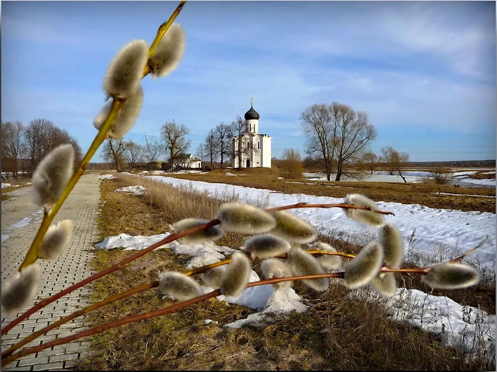 Вербное воскресенье Покрова на Нерли