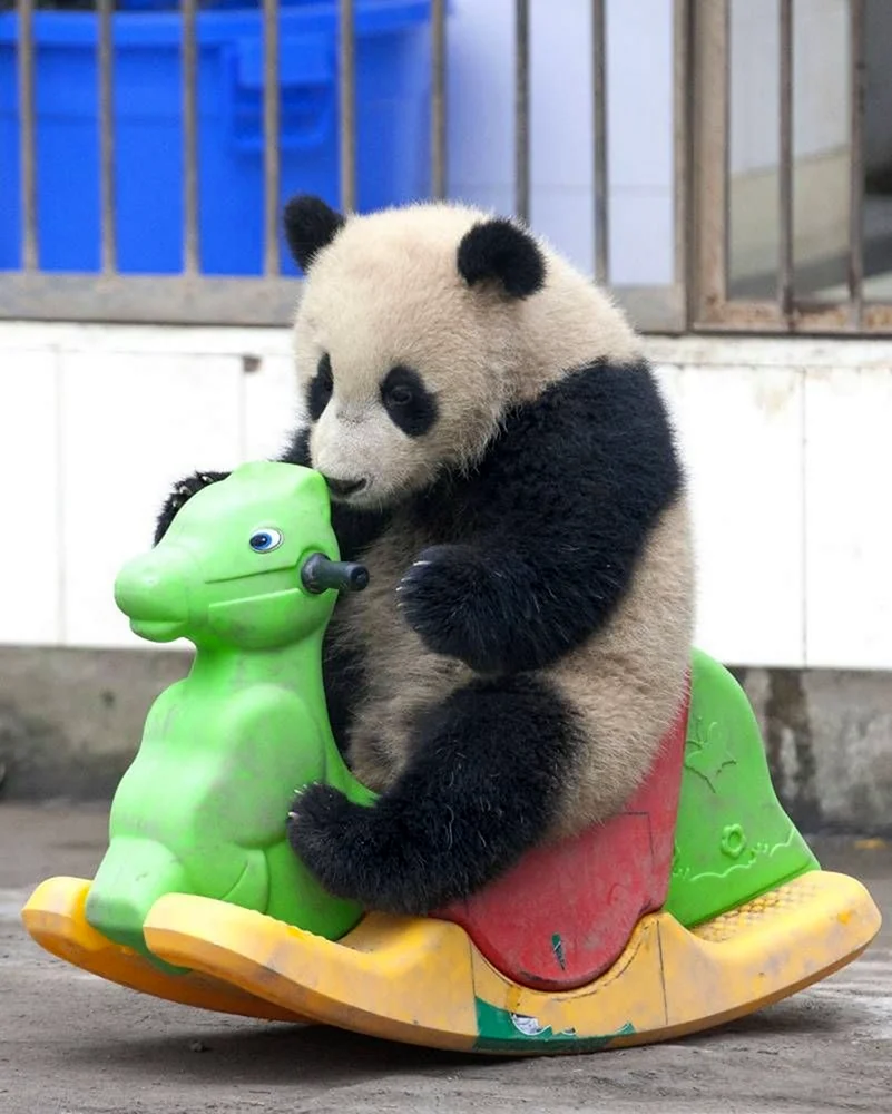 Веселая Панда