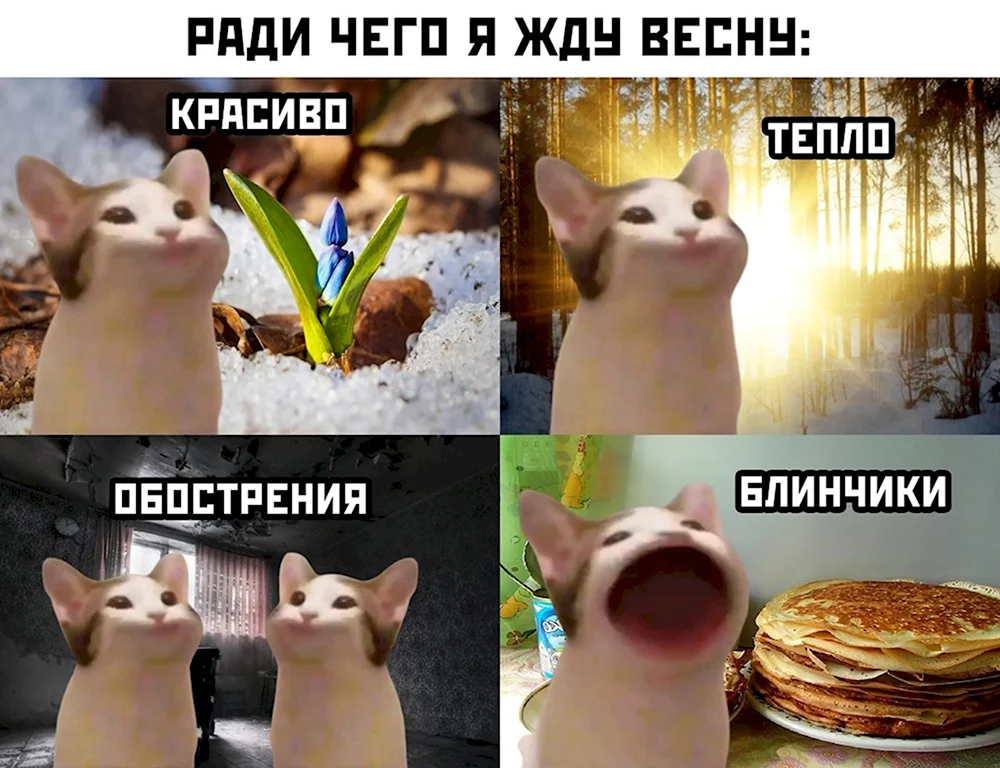 Весёлые мемы для поднятия настроения