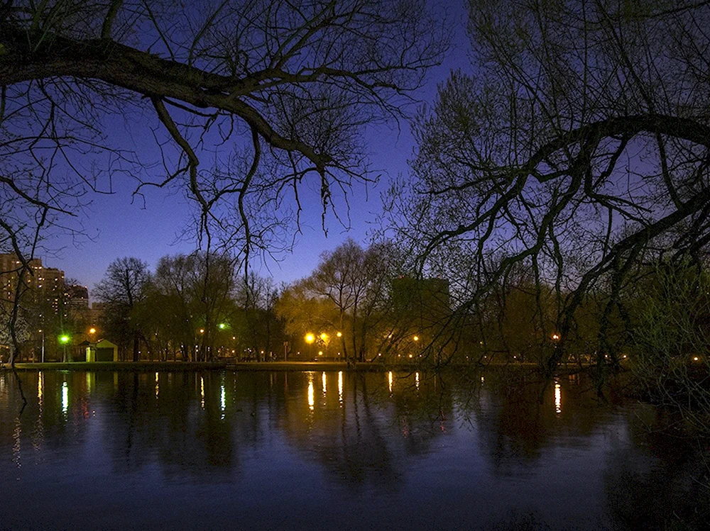 Весенняя ночь в городе