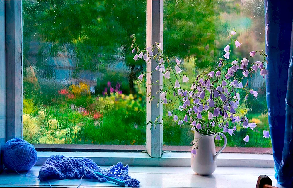 Весенний вид из окна