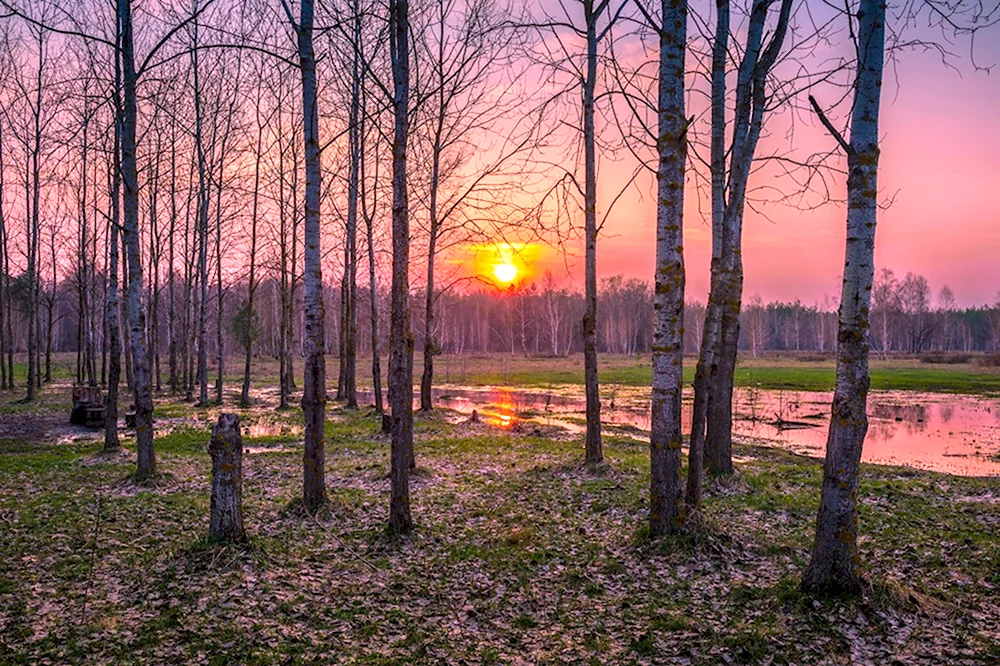 Весенний закат