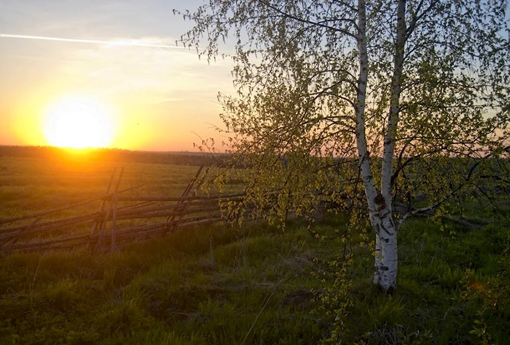 Весенний закат в деревне