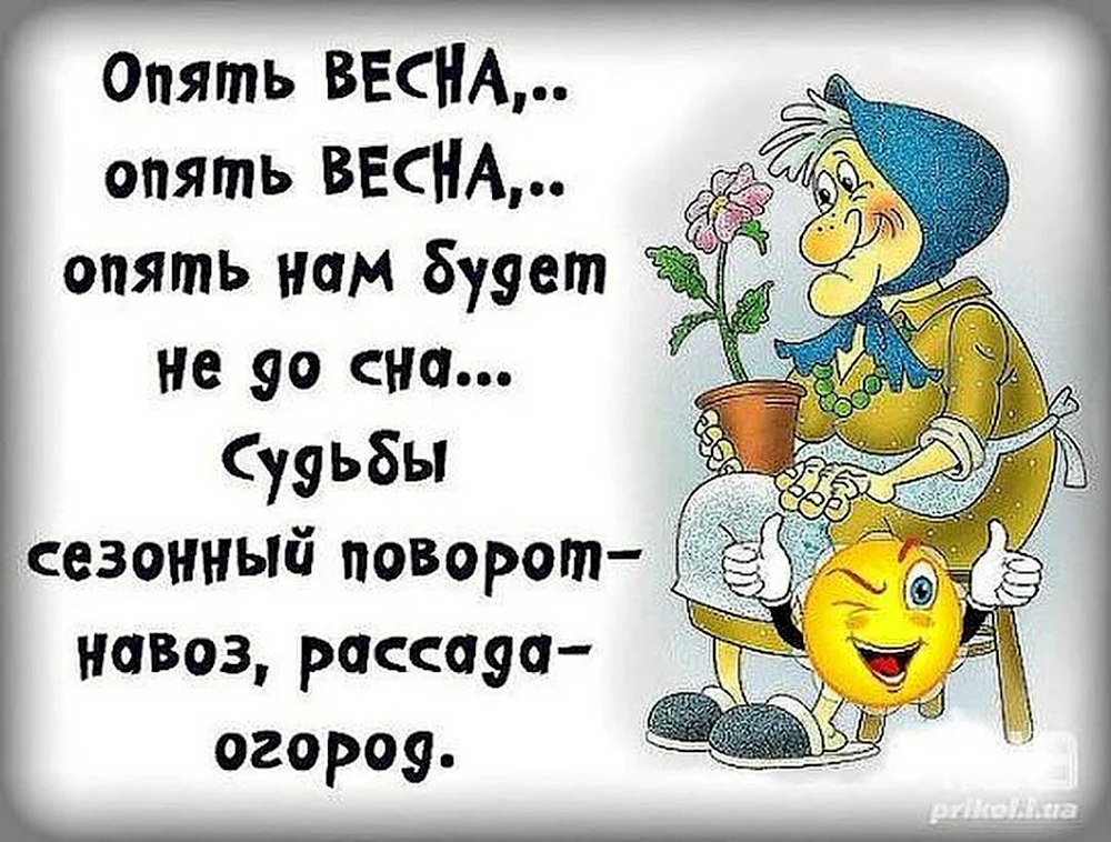 Весна юмор