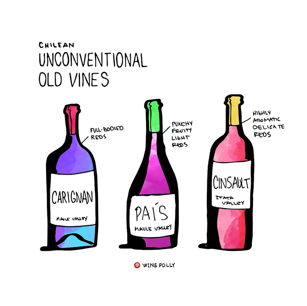 Вино Паис Чили