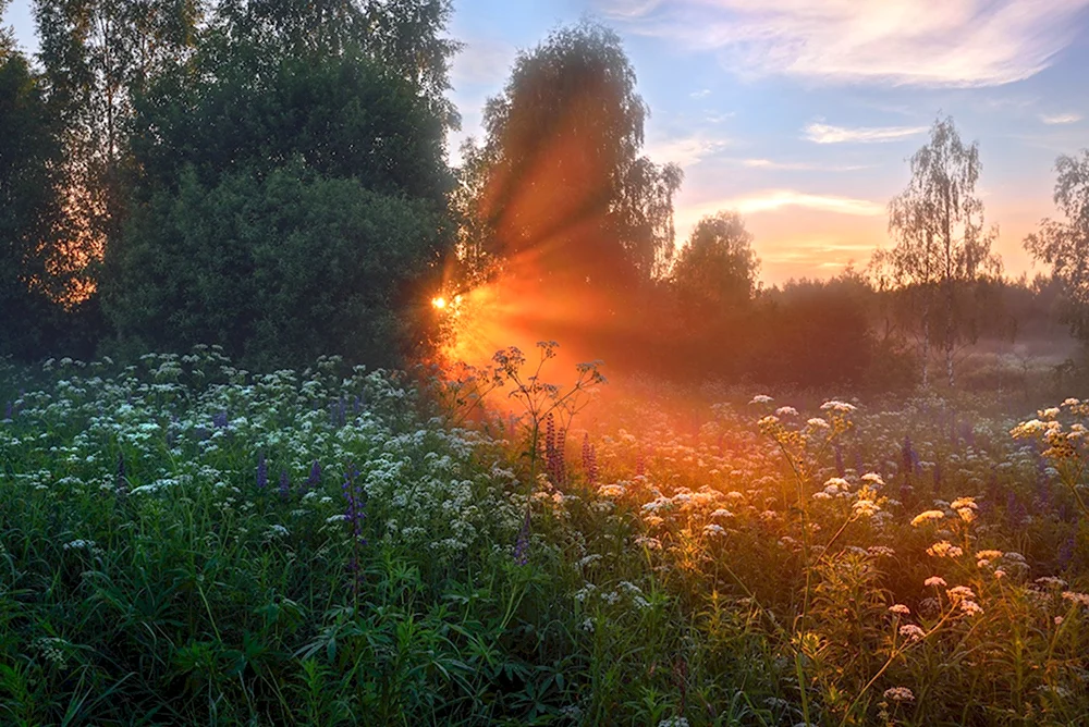 Виталий Полуэктов фотограф