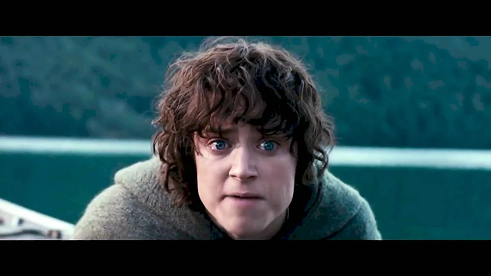 Властелин колец Фродо нееет