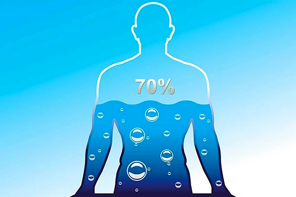 Вода в организме человека