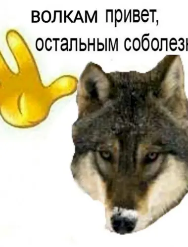 Волк Мем