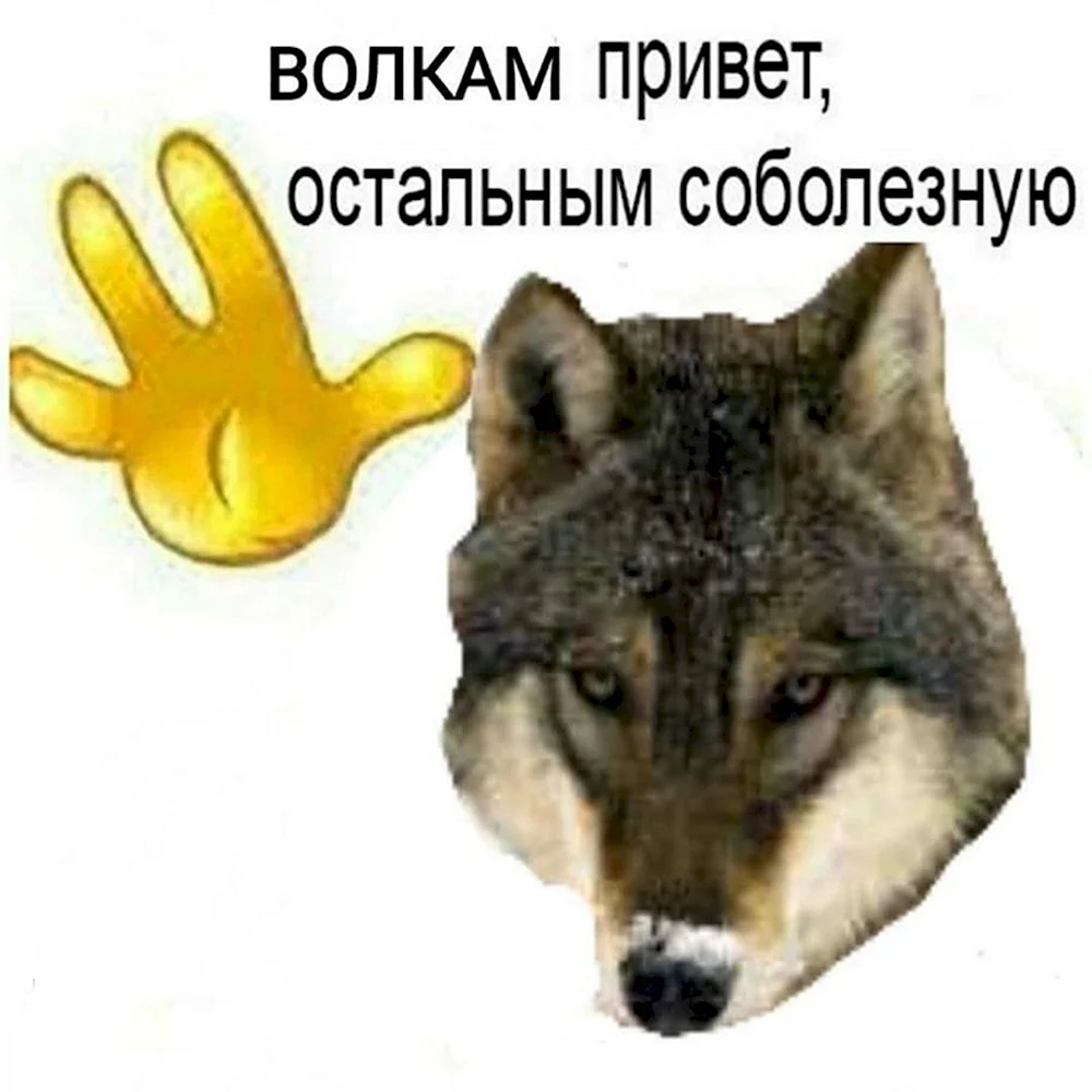 Волк Мем