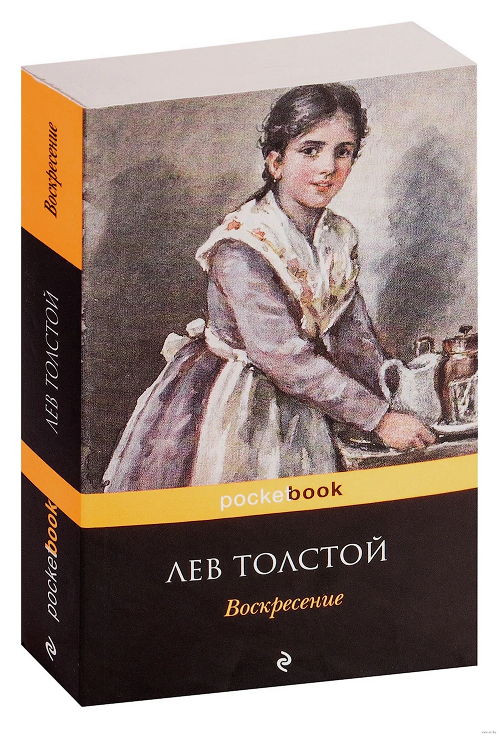 Воскресение толстой книга