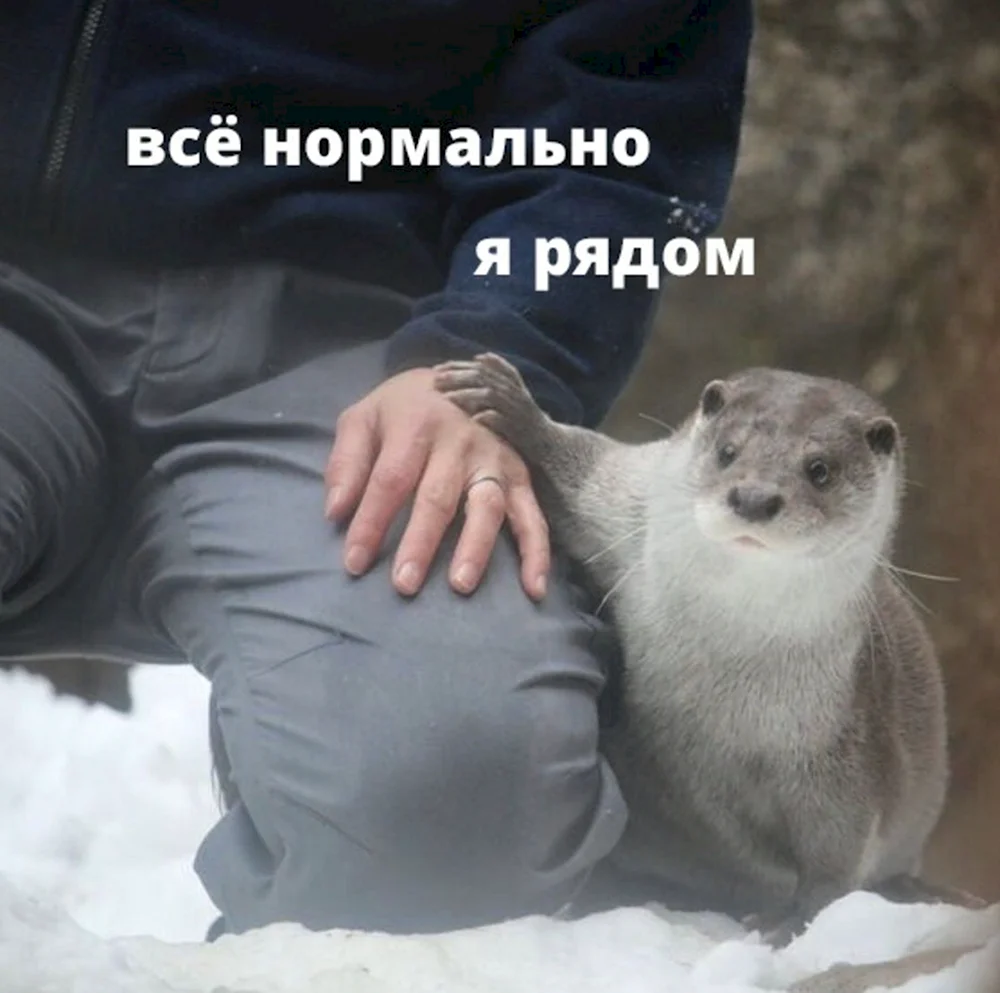 Все нормально