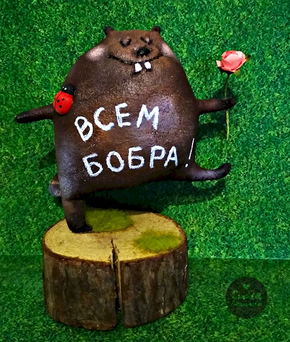 Всем бобра