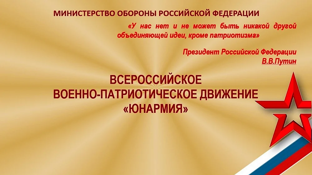 Всероссийское военно-патриотическое Общественное движение Юнармия