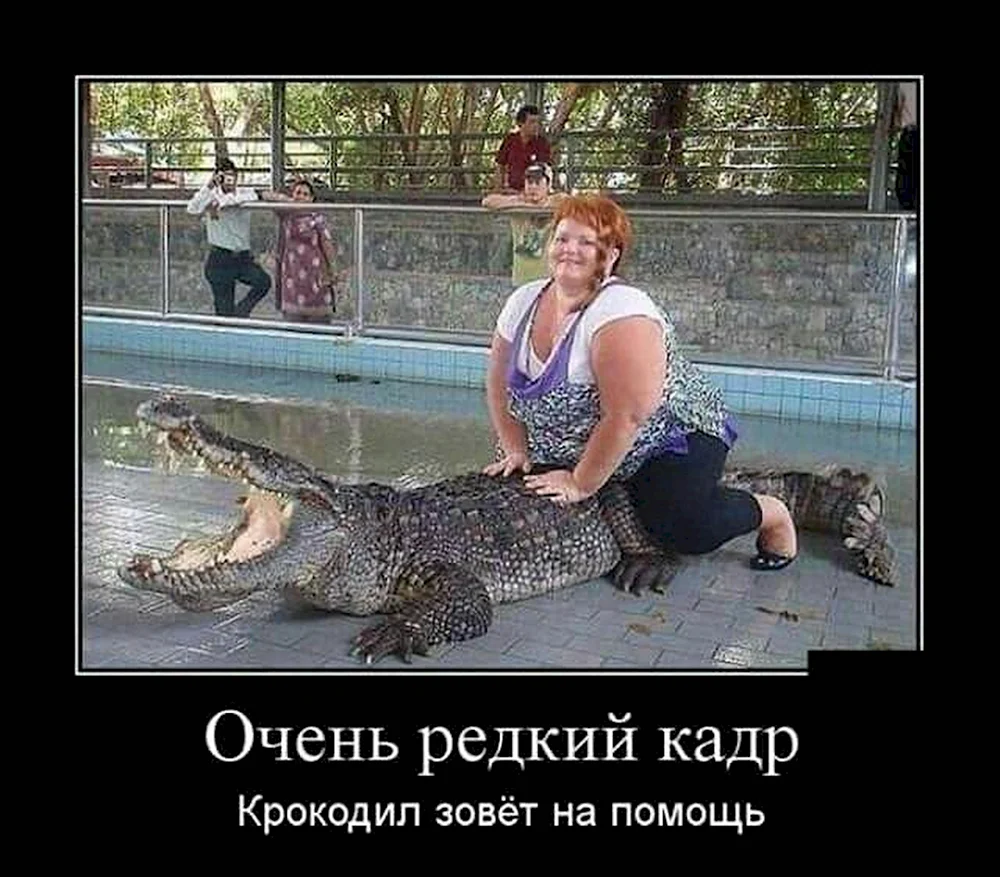Вы когда нибудь видели как крокодилы зовут на помощь