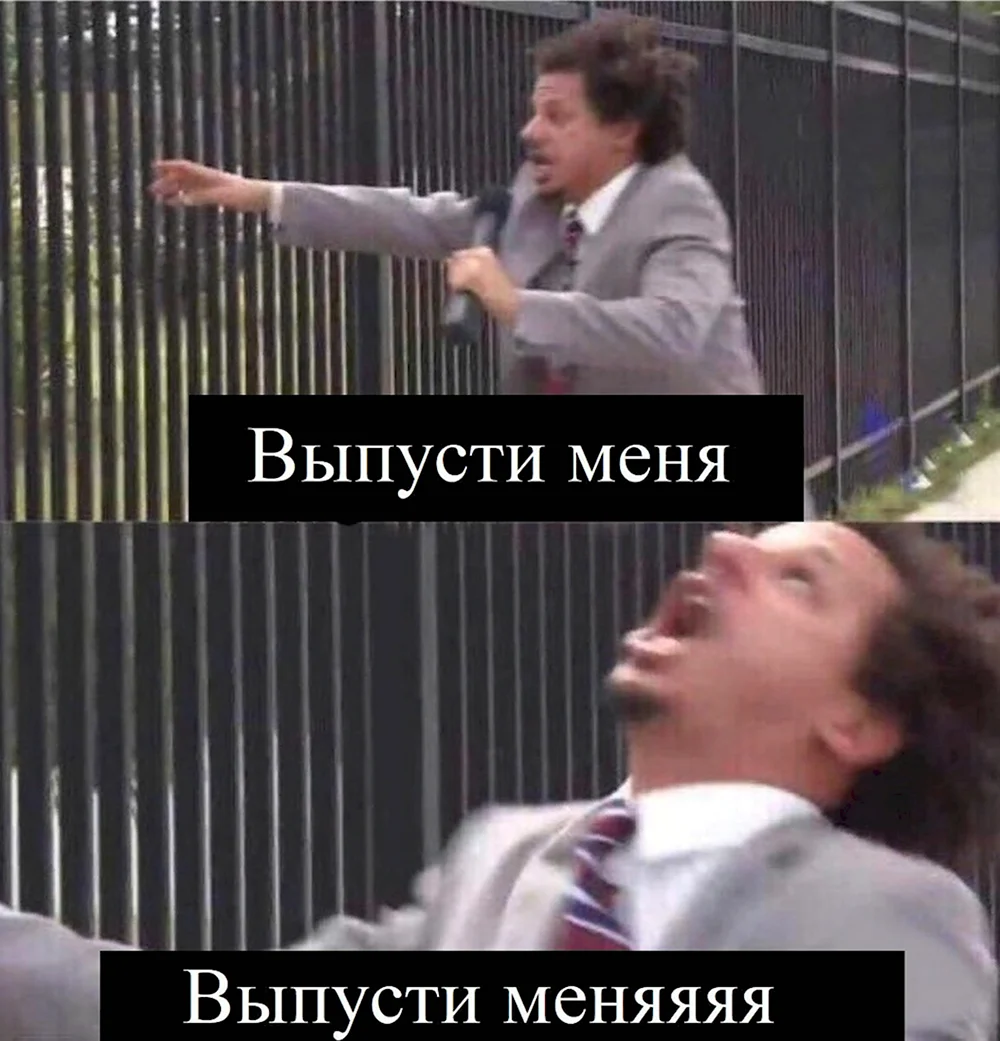 Выпустите Мем