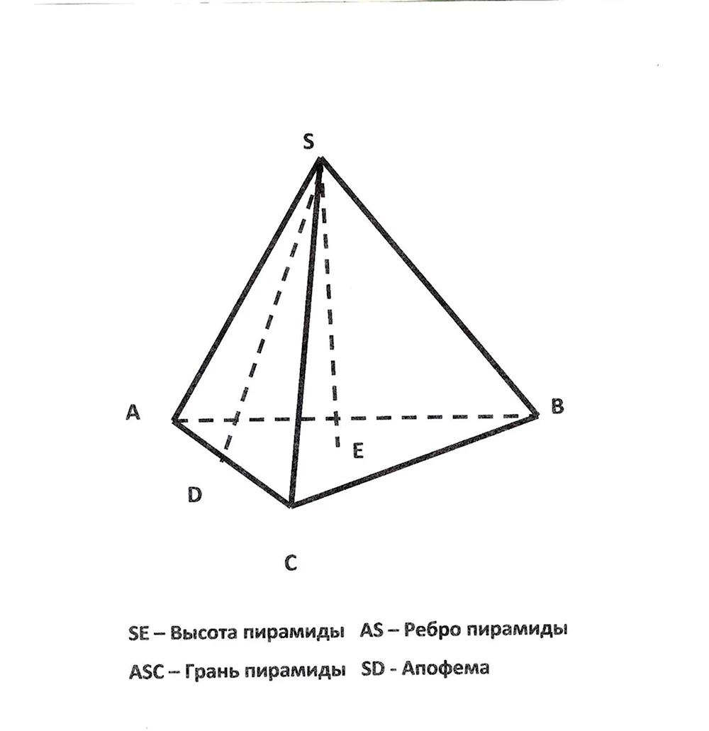 Высота треугольной пирамиды пирамиды