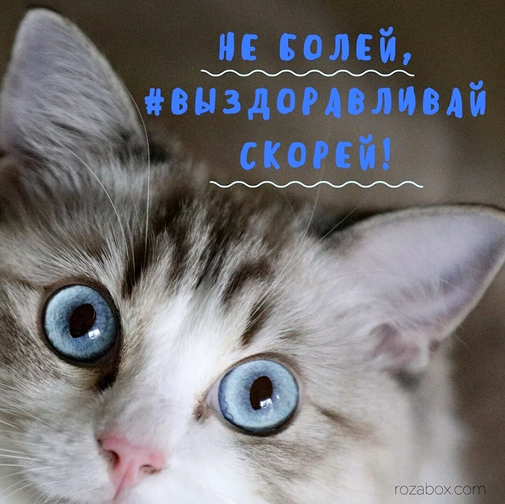 Выздоравливай